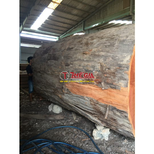Trống chùa tang liền đường kính 1m5