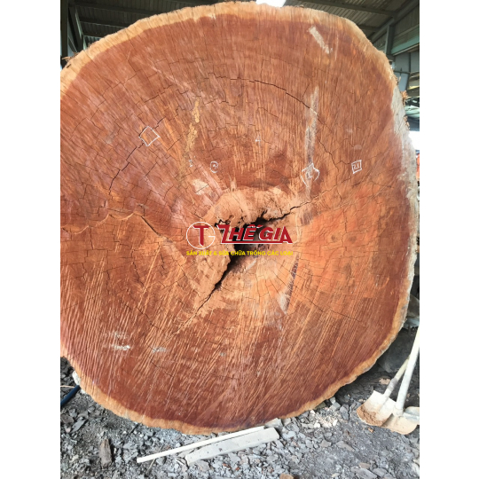 Trống chùa tang liền đường kính 1m5
