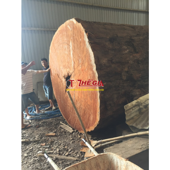 Trống chùa tang liền đường kính 1m5